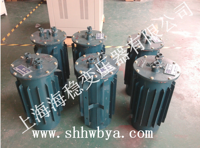 ����V�Ì��׃����SSG-8KVA